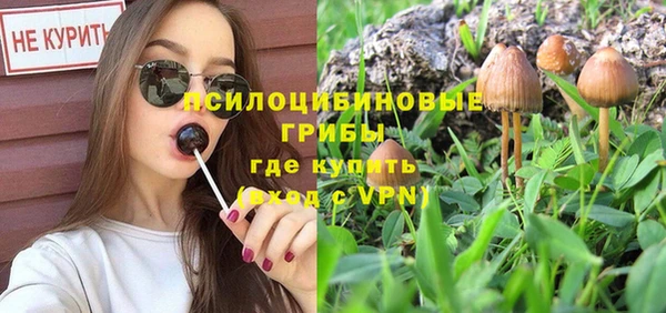 гидра Осинники