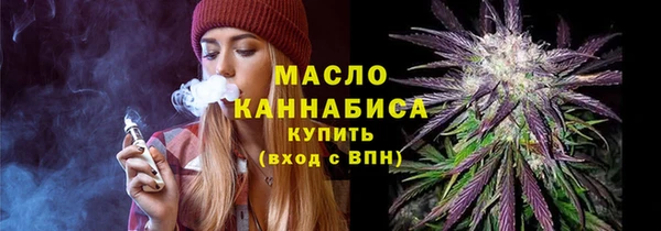 гидра Осинники