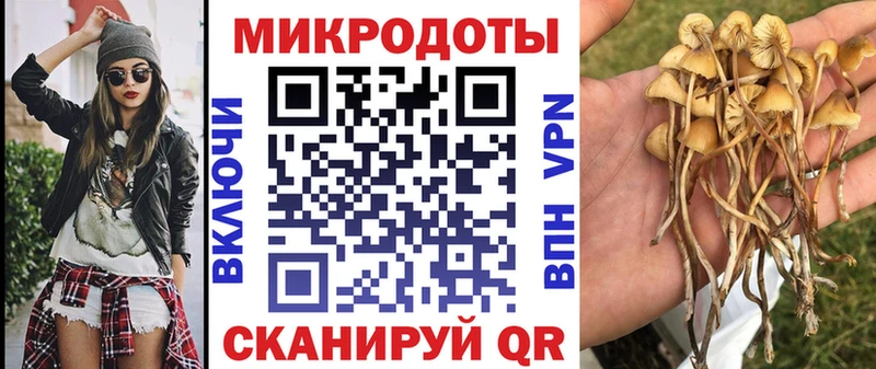 Галлюциногенные грибы GOLDEN TEACHER  сколько стоит  Ногинск 