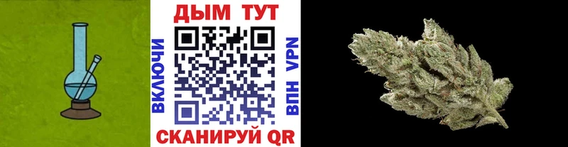 Бошки Шишки тримм закладка Ногинск